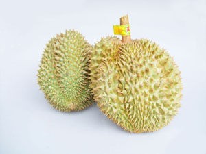 榴蓮
