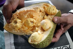 菠蘿蜜