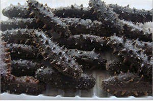 鹽漬海參
