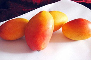 腰芒