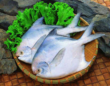 鯧魚