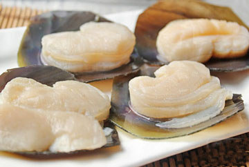 帶子
