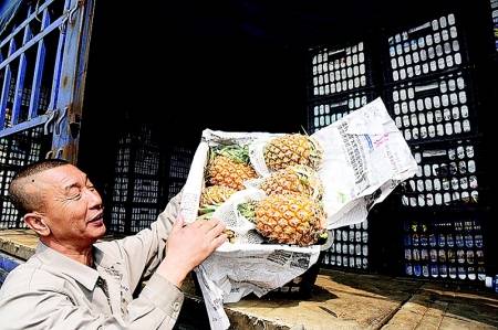 海南菠蘿熱銷