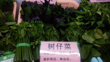 海南樹仔菜