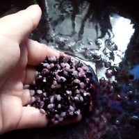 紫米粽子制作步驟3