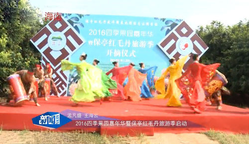 保亭紅毛丹旅游季開啟(新聞報(bào)道)