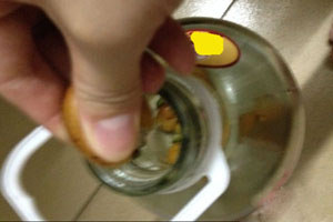 將黃皮放入酒罐中