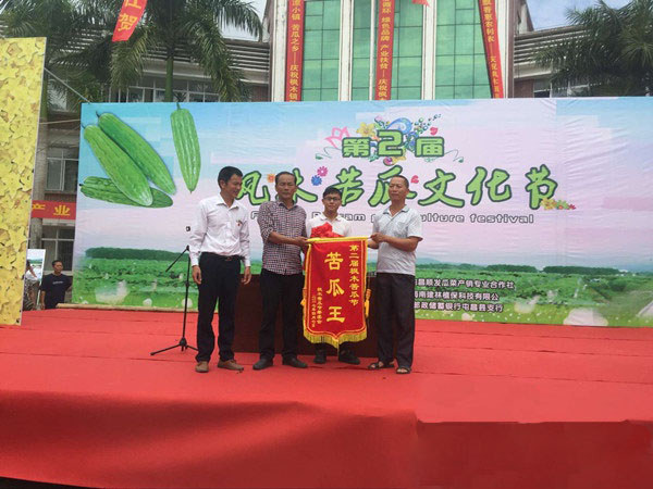 苦瓜王拍賣1.3萬元 屯昌縣第二屆苦瓜文化節在楓木鎮舉行