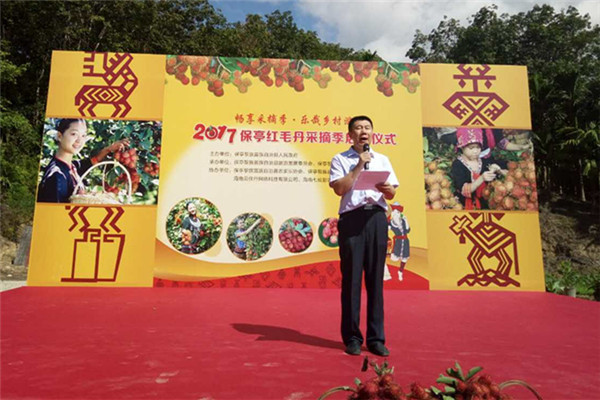 海南省旅游委旅游開發處處長李勇致辭
