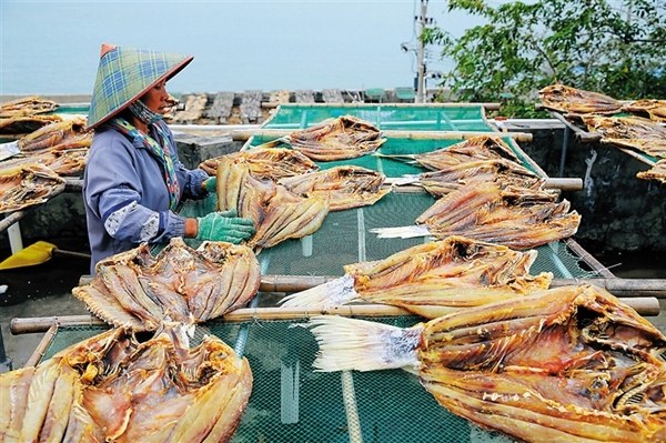 儋州紅魚干