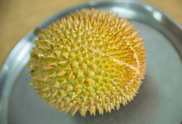 貓山王榴蓮