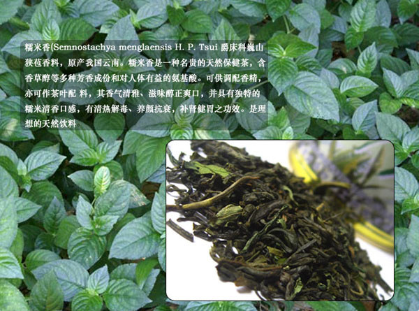 糯米香 香草蘭米香茶