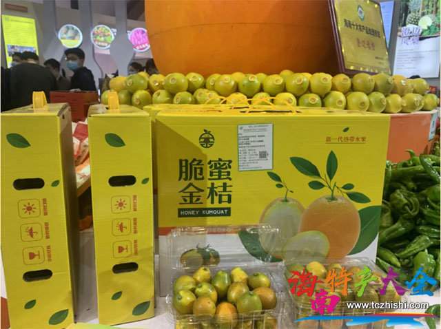 澄邁脆蜜金桔 澄邁脆蜜金桔