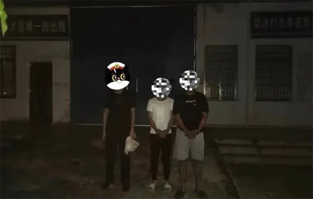 屯昌2男子偷檳榔苗被抓