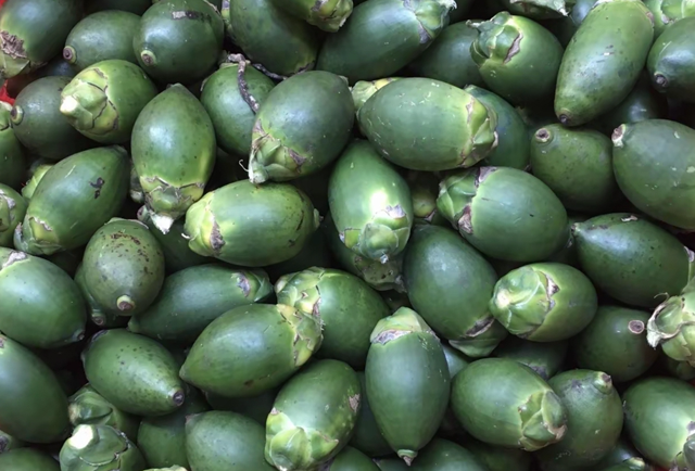 海南今日檳榔收購行情信息參考(2025年12月10日)