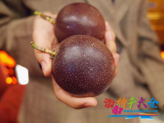 臺農一號百香果