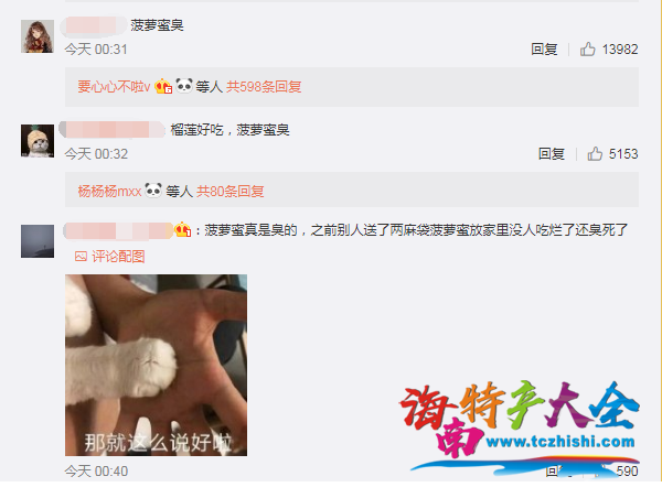 網(wǎng)友認(rèn)為菠蘿蜜比榴蓮臭