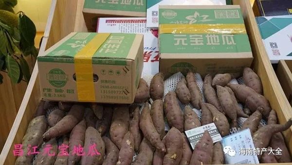昌江元寶地瓜