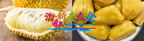 榴蓮和菠蘿蜜果肉對比