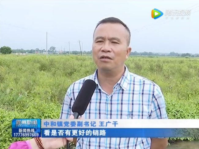 儋州市中和鎮黨委副書記王廣干